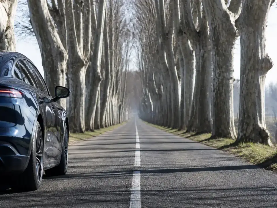 Route de campagne droite bordée d’arbres, ligne blanche au centre, lumière du matin